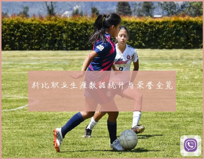 科比职业生涯数据统计与荣誉全览